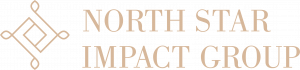 North Star Impact Group stacked logo
